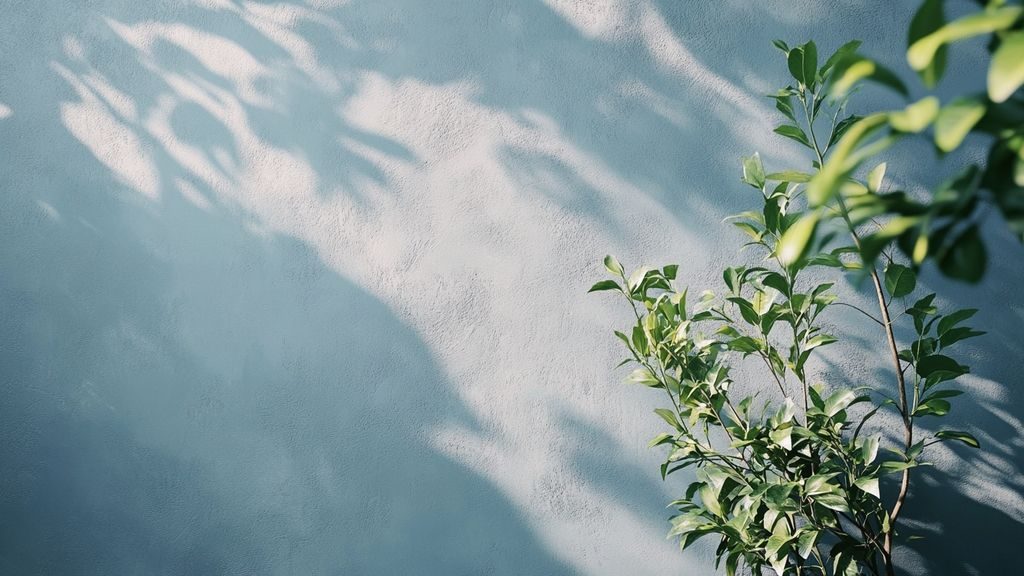 Comment anticiper l’apparition du salpêtre sur un mur